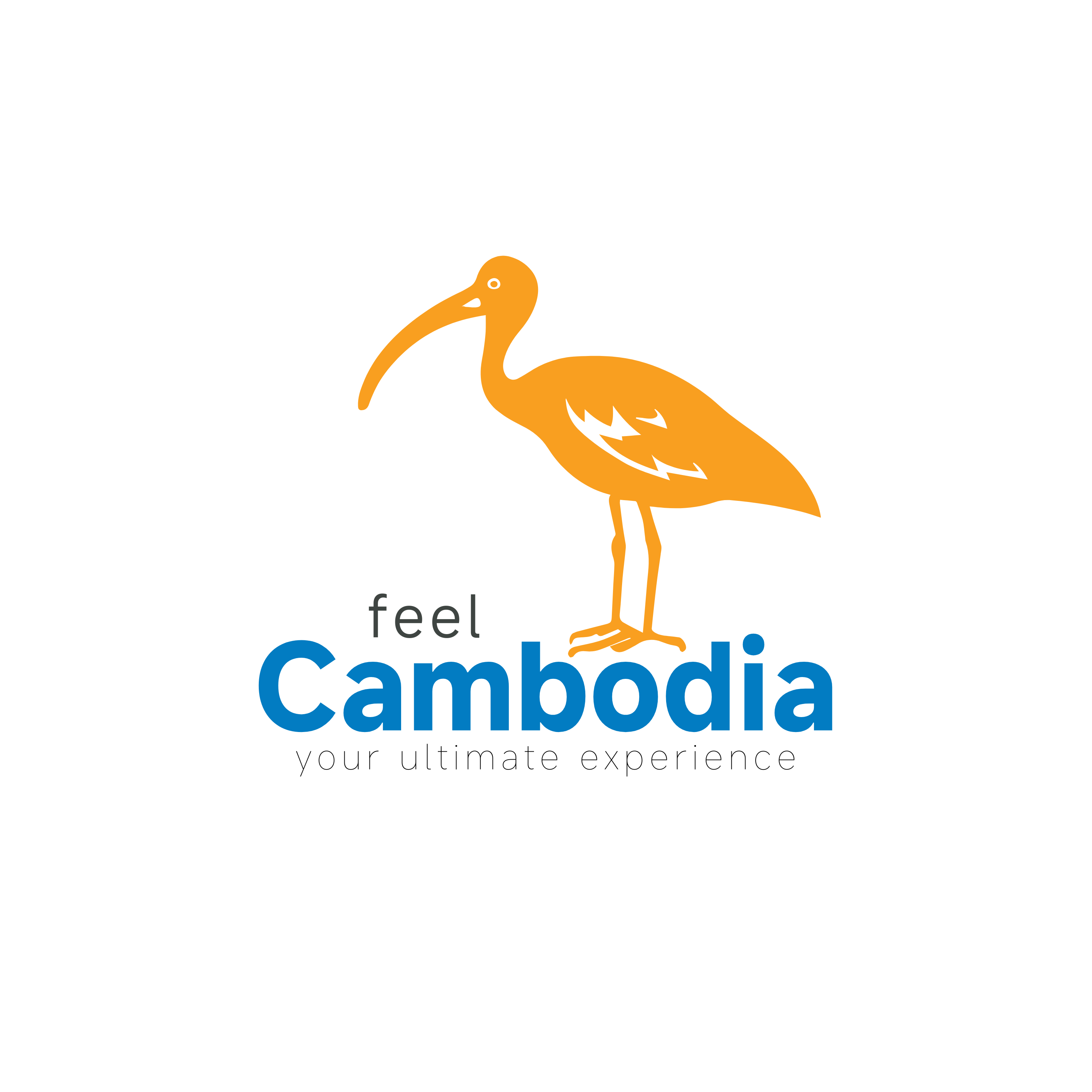 Feel Cambodia